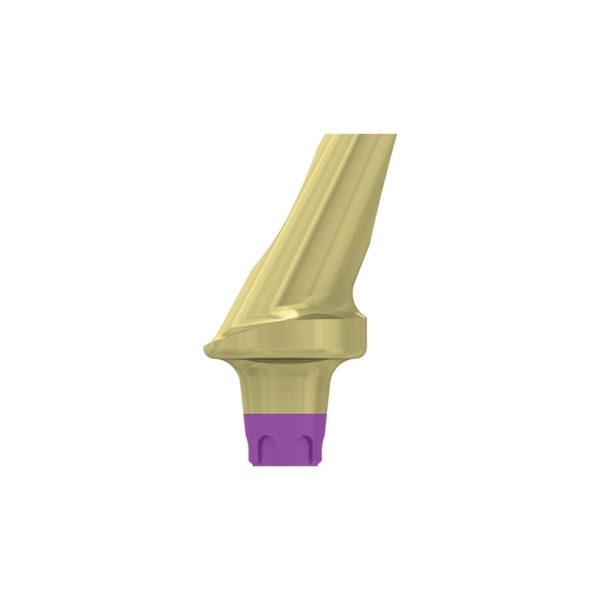Esthetic 25 angulated abutment 1mm gingiva h.,coni.con.