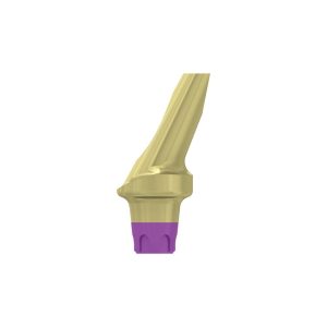 Angulated abutment 25*, conical connection, SP