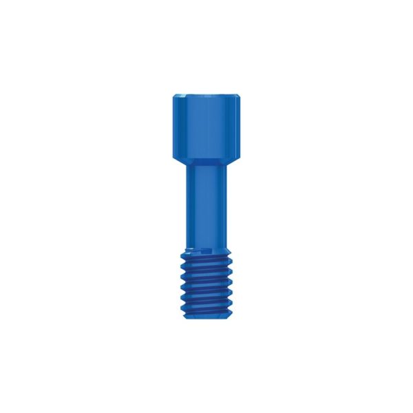 Angled screw channel prosthetic screw, SP