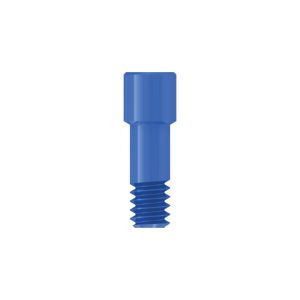 Connect abutment angled screw channel prostehtic screw