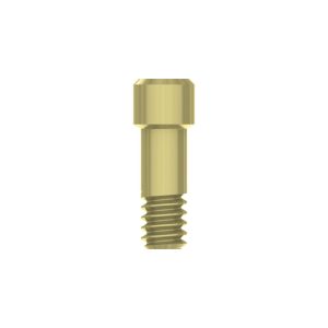 Prosthetic screw for connect abutment