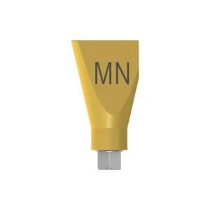 Scan post, internal hexagon, NP