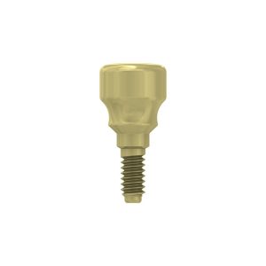 Healing cap ?4 H4mm, concave,int.hex.NP